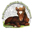 Cute Horse 