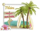 Board Meeting- Milaine