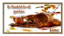 Be thankful - Jane