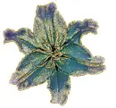 blue lily