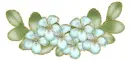 blue flowers