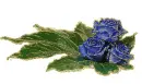 3 blue rosa