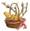 little chicks
