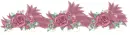 rosas