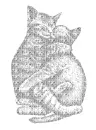cat