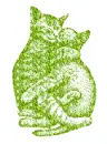 cat