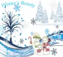 Winter's Beauty