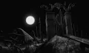 Dark Night