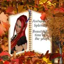 Autumn's Splendor