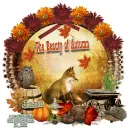 The Beauty of Autumn - Jane