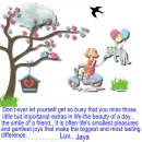 Jaya - Busy - Girl On Bike - Bird House - Extras In Life
