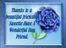 a beautiful Friendship