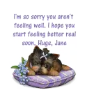 Sad dog, I'm sorry - Jane