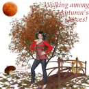 Walking in Autumn leaves