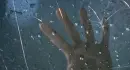Hand Print