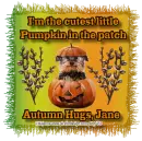 Cutest pumpkin in the patch - Jane