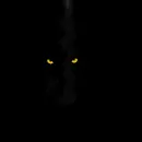 Darkness