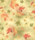 Autumn Leaves Background