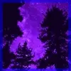 dark starry night