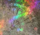 Sparkly Opal Fan