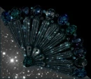 Sparkly Sea Fan