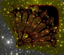 Sparkly Double Gold Fan