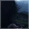windy