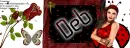 Deb -Ladybug fb cover