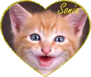 Sonia