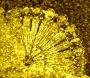 Glittery Yellow Fan