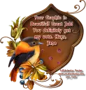 Pretty Bird - Jane