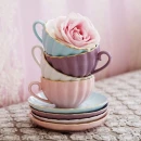 Teacup-Rose