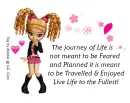 The Journey of Life