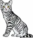 cat