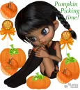 Pumpkin Picking time