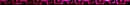 Pink Leopard Divider