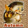 Hedgehog Autumn Avatar