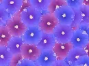 Flowers ~ background