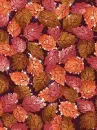 Autumn/Fall ~ background
