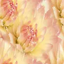 Flowers ~ background