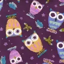 Owl ~ background