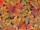Autumn/Fall ~ background