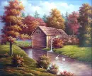 Autumn/Fall Scene~ background