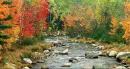Autumn/Fall Scene~ background