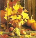 Autumn/Fall ~ background