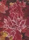 Autumn/Fall ~ background