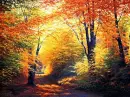 Autumn/Fall ~ background