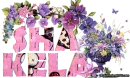 Shakela