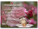 Friendship