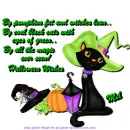 Mel - Black Cat - Lantern - Wishes